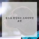 드로잉 기초 이미지