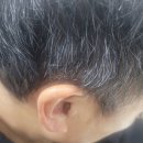 독일렉스톤보청기수원점 | 시그니아 렉스톤 독일보청기 상담도 꼼꼼히 해주는 독일렉스톤보청기 수원점