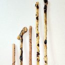 *감태나무 연수목 지팡이-저렴판매 이미지