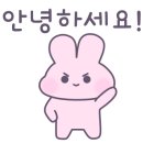 하루키즈풀발라 이미지