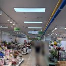 양재시장 | 양재동화훼공판장, 아기랑 양재꽃시장 방문후기(주차정보)