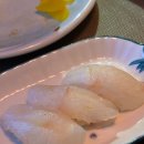 부엉이닷찌