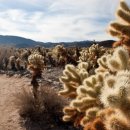 멍베스트 이미지