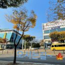 안현로서 6길 이미지