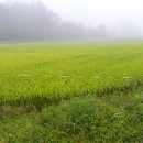 무지개농원 이미지