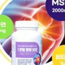 템템(tem tem) 이미지