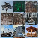 초계꽃식물원 이미지