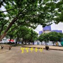 신암조경