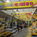 자연산횟집 | 속초 대포항 난전 찐맛집 옥이네횟집 자연산광어 강성돔 후기