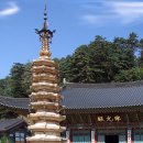 숲속의평창 이미지