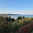 [전국출발 테마여행] 울진·포항 보약온천 겨울 힐링여행 1박2일 우리끼리 단독투어 프라이빗투어 이미지