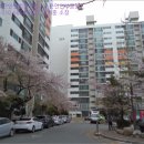 하단동227 이미지