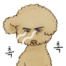 다모아패션 이미지