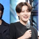 스타인㈜ 이미지