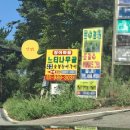 느티나무골 | 강화도장어 몸보신 제대로 아쉬움 없는 갯벌장어맛집 느티나무골