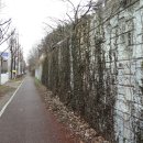 광주양지병원 이미지