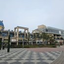 고양 일산 호수공원 가로수길