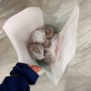 코코호도 센트럴시티점 이미지