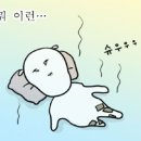 스피드존 이미지