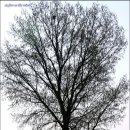 초록바람 이미지