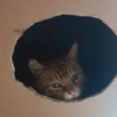 조이 노래연습장 이미지