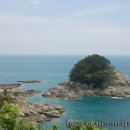 뽈레뽈레 이미지