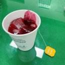 곡성-159 | 2025.06 일상(2)
