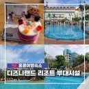 디즈니 할리우드 호텔 부대시설 생일 이벤트 체험프로그램 리조트 투어 후기