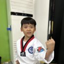 한양대 도담 태권도 이미지