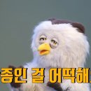 짬뽕선수 - 성북구 동소문로20가길 2 | 짬뽕선수