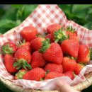 26ㅡ30 사과와 달걀..외 이미지