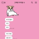 집 단톡인데 서로 강아지 이름만 부름 이미지