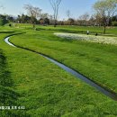 함안(순천) 이미지