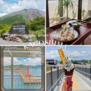 오큐트 | 가고시마 여행 필수템! 사쿠라지마 화산 큐트패스 사용 후기