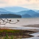 사초 해변공원 이미지