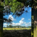 무리개농장 이미지