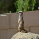 영어말하기쉽게쉽게 이미지