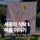 수왕초등학교 | 세종의 식탁 후기｜아이와 조치원 복숭아 수확 체험, 고개농원에서 특별한 여름 추억