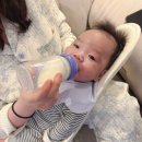 윤우유통 | 💜젖병 유목민이라면 란시노 아기 배앓이 역류방지 유리 젖병 추천💜