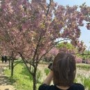 하빈로84길 이미지