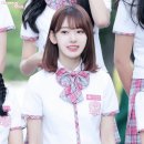 미야와키 사쿠라 카카오 검색결과