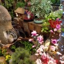 송원일식 이미지