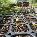 정운농장 이미지