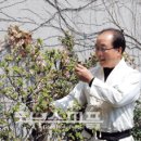 국선도수련원