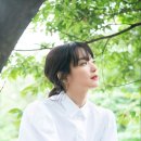 플램