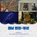 경남중기(거제마린) | 2025 여름휴가 경남 합천 부산 여행 (해인사, 파크하얏트, 광안리 드론쇼 등)