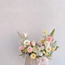 사림동183 이미지