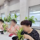 마음을 심는 원예테라피 이미지