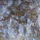 한반도뗏목마을 이미지