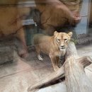 대전아쿠아리움 이미지